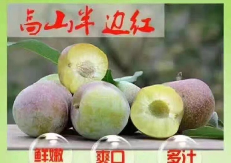 半边红李子35~40mm