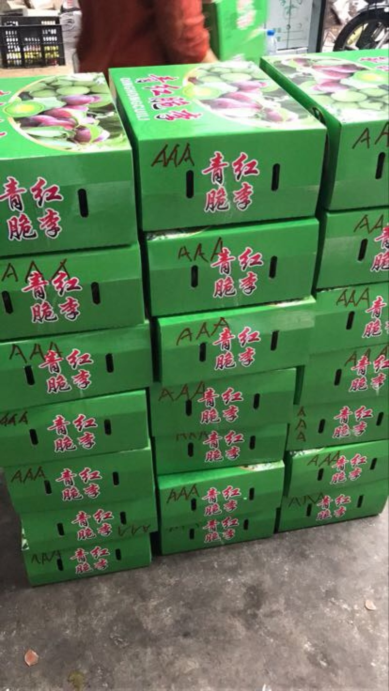 半边红李子35~40mm