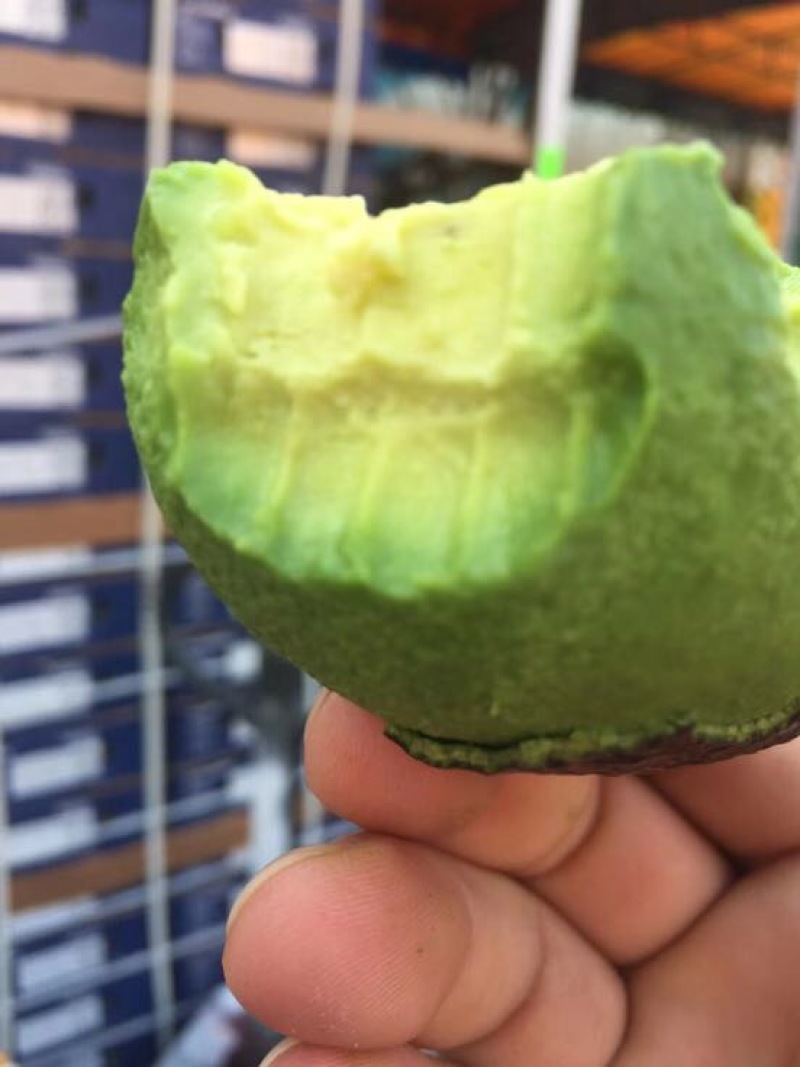牛油果墨西哥6个装单200g-240g