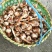 茨茨菇大量上市