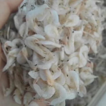 特级虾皮