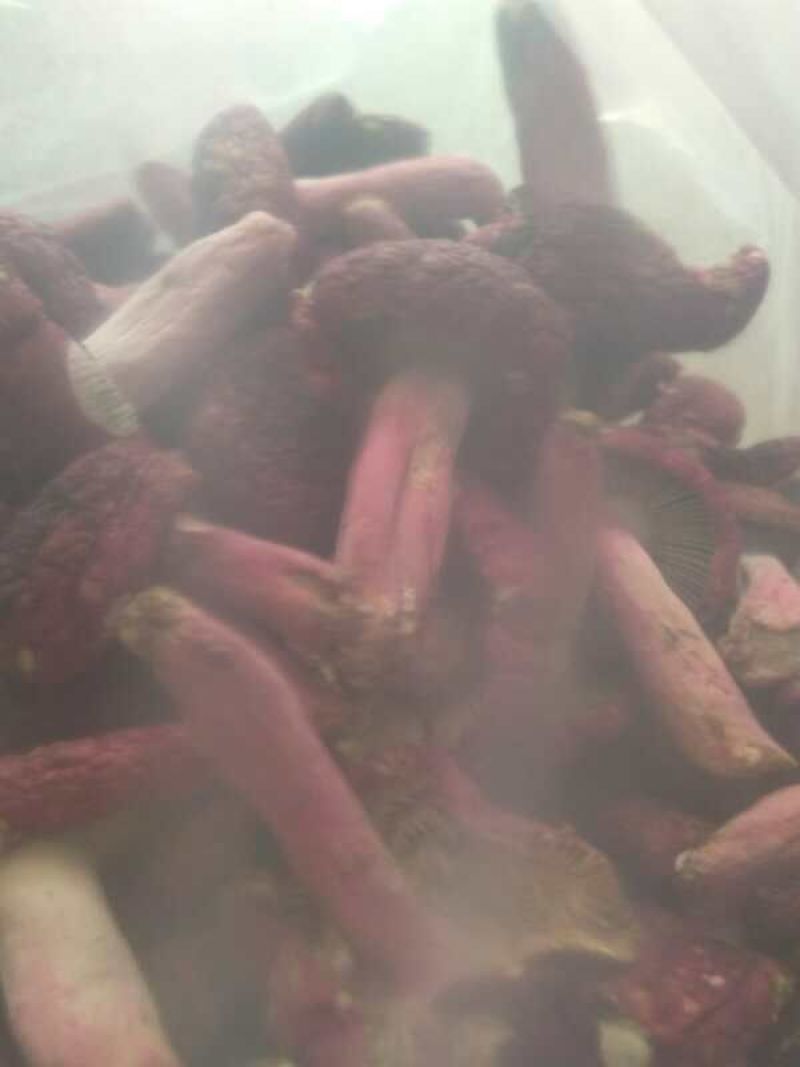 红菌干