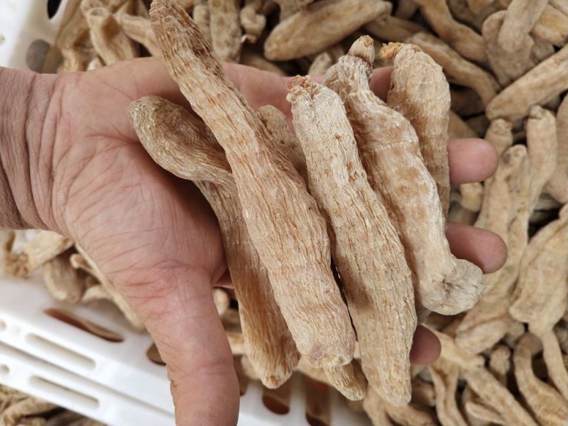正宗云南红天麻15个10个8个6个一斤可免费切片打粉包邮