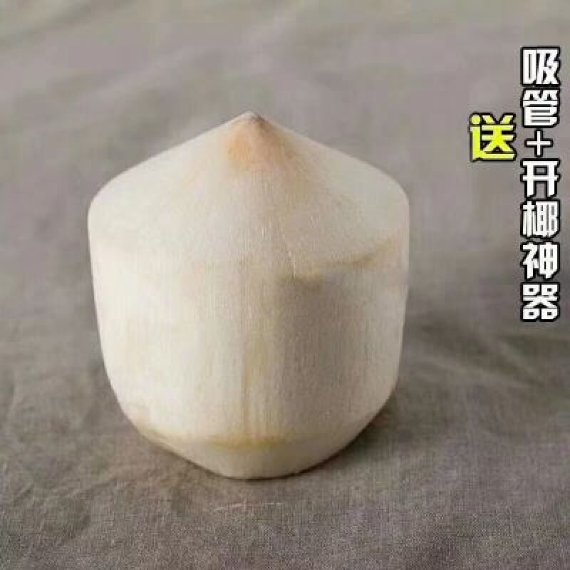 海南椰青