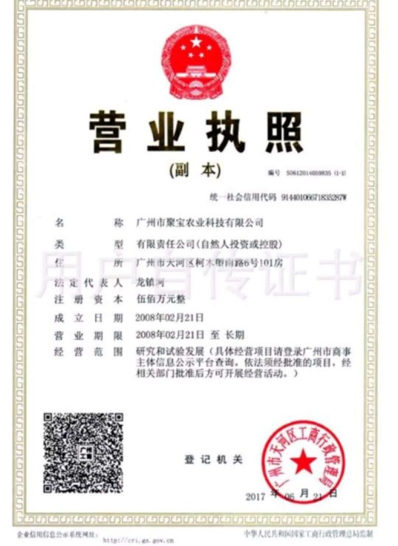 优抗801西红柿种子，1000粒