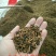 双蒸无砂雪里蕻黑梅干菜全干无沙雪里蕻做的黄梅干菜