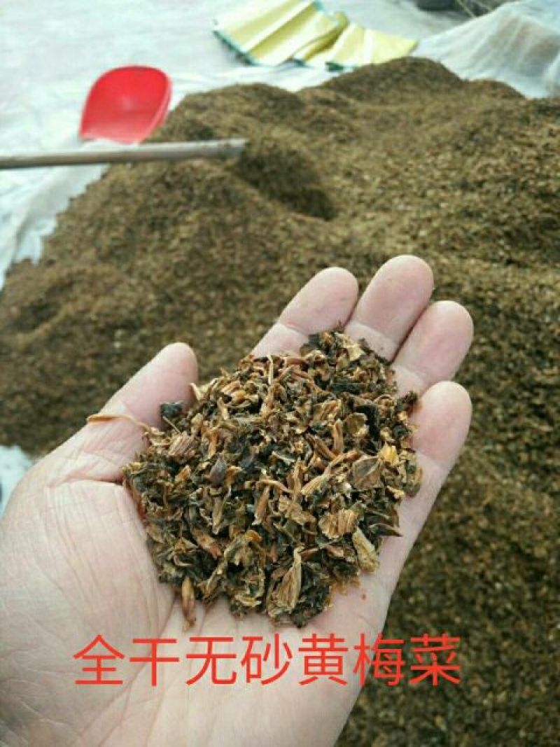 双蒸无砂雪里蕻黑梅干菜全干无沙雪里蕻做的黄梅干菜