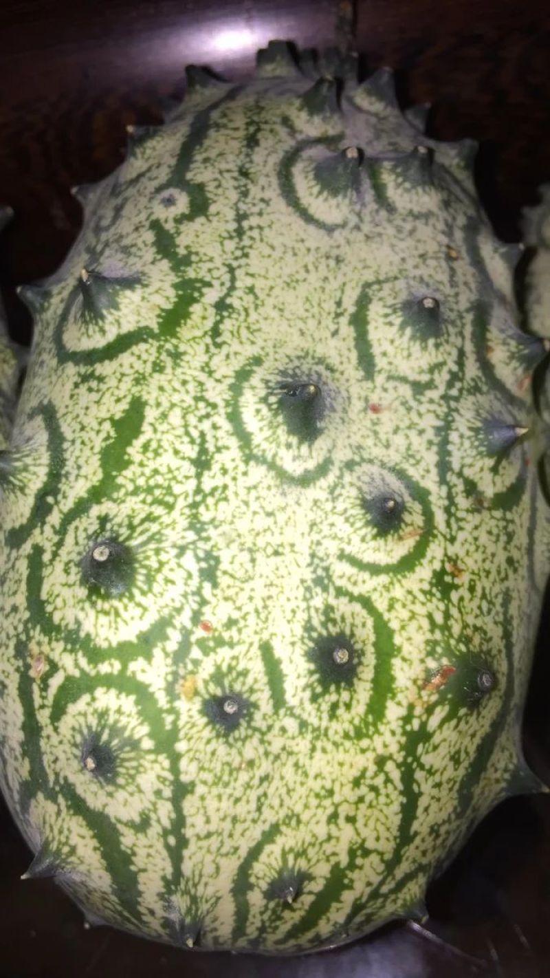 火参果