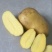 黄皮黄心土豆，黄皮黄心，味美价廉，品质优良，欢迎光临！