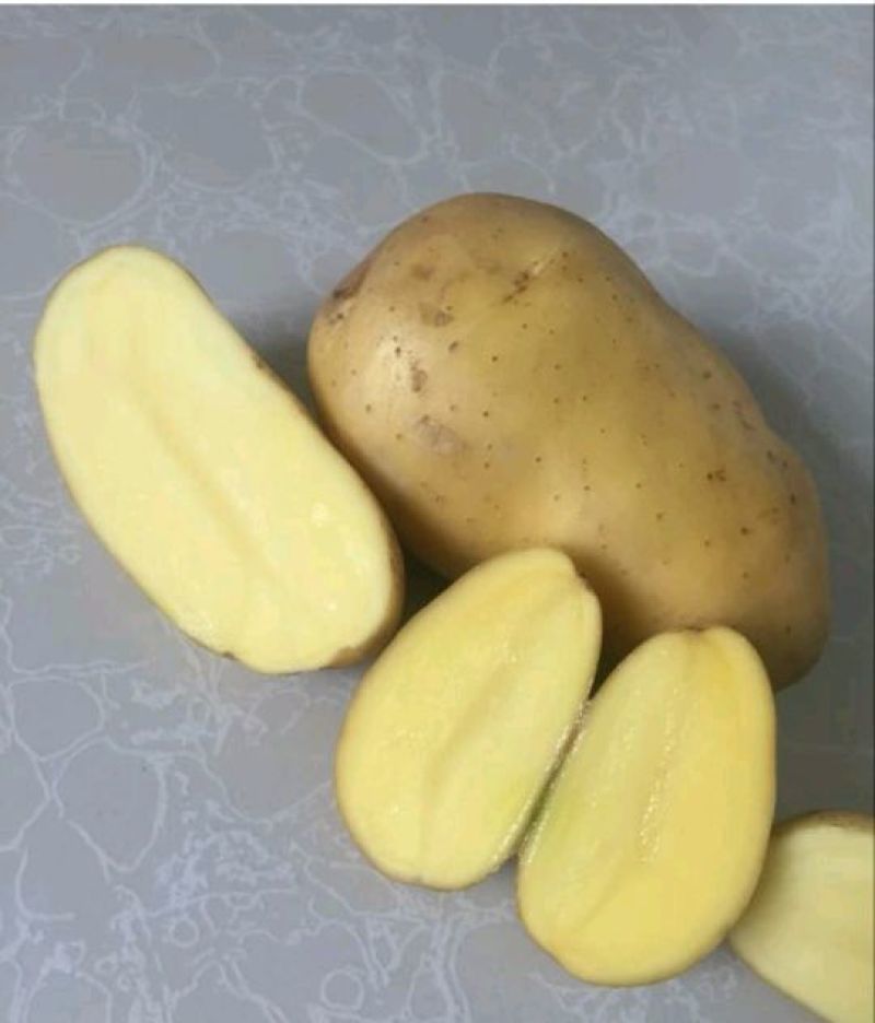 黄皮黄心土豆，黄皮黄心，味美价廉，品质优良，欢迎光临！