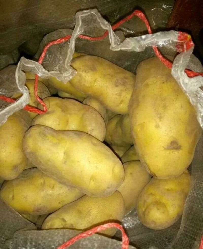 黄皮黄心土豆，黄皮黄心，味美价廉，品质优良，欢迎光临！