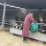 肉驴