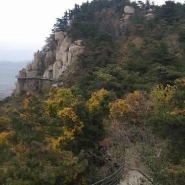 山地1000亩