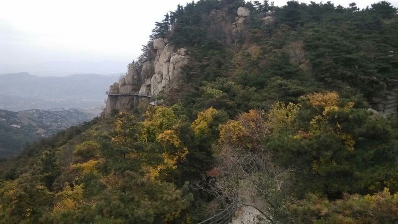山地1000亩