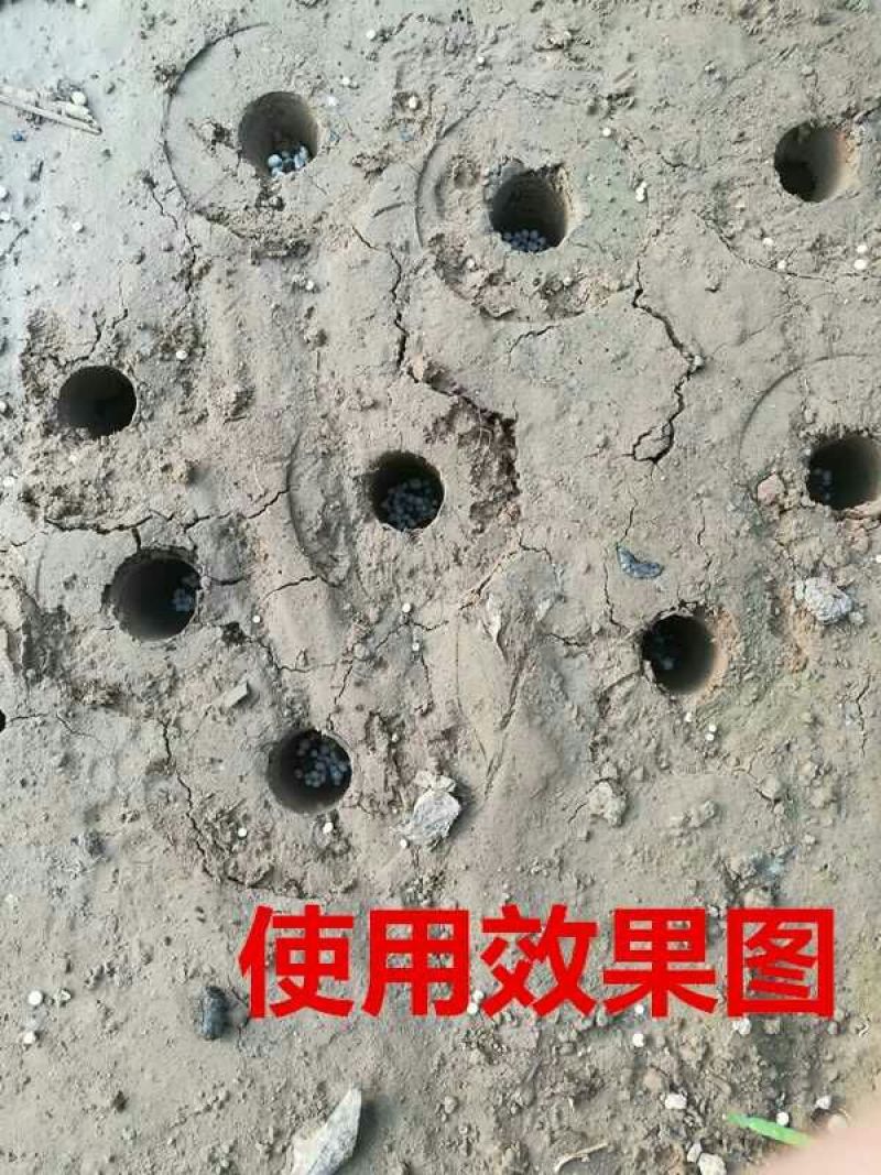 地下施肥器土下根部追肥器蔬菜玉米果树地膜追肥枪颗粒按压施