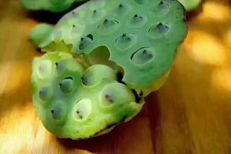 白莲子特级干莲子