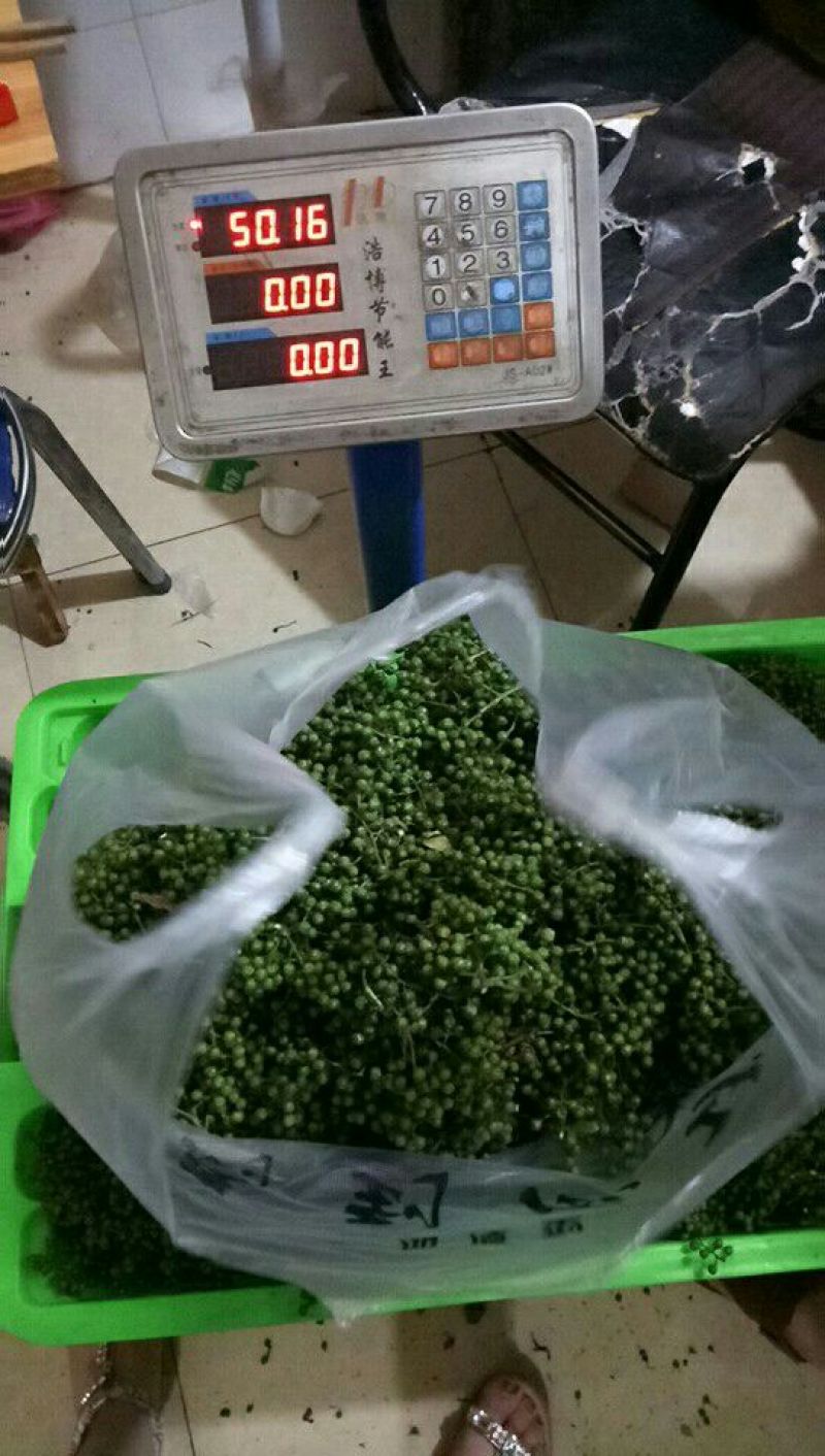 专注鲜花椒批发