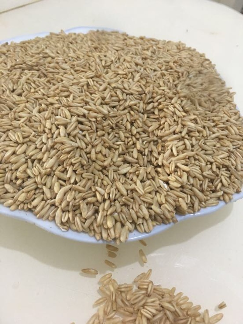 燕麦米