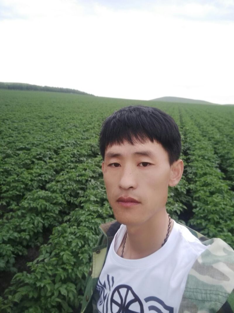 荷兰十五原种2两以上通货