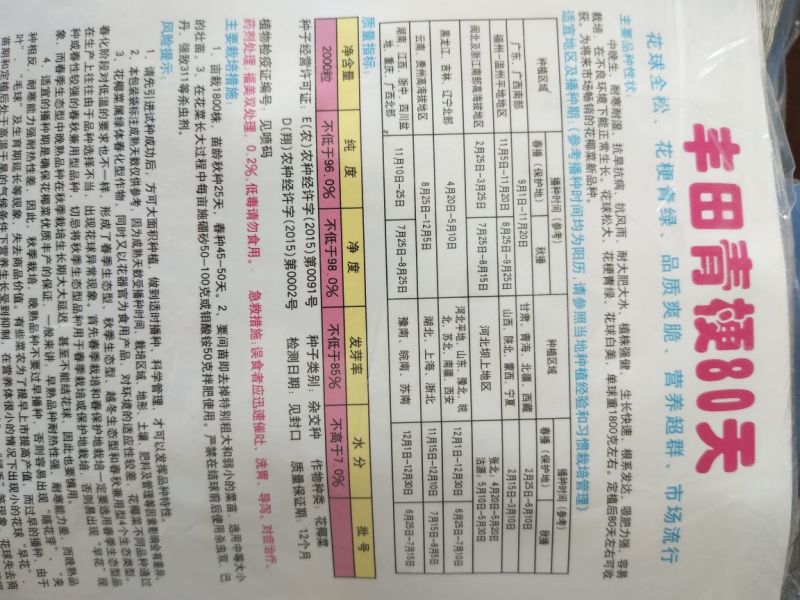 丰田青梗80天松花菜种子