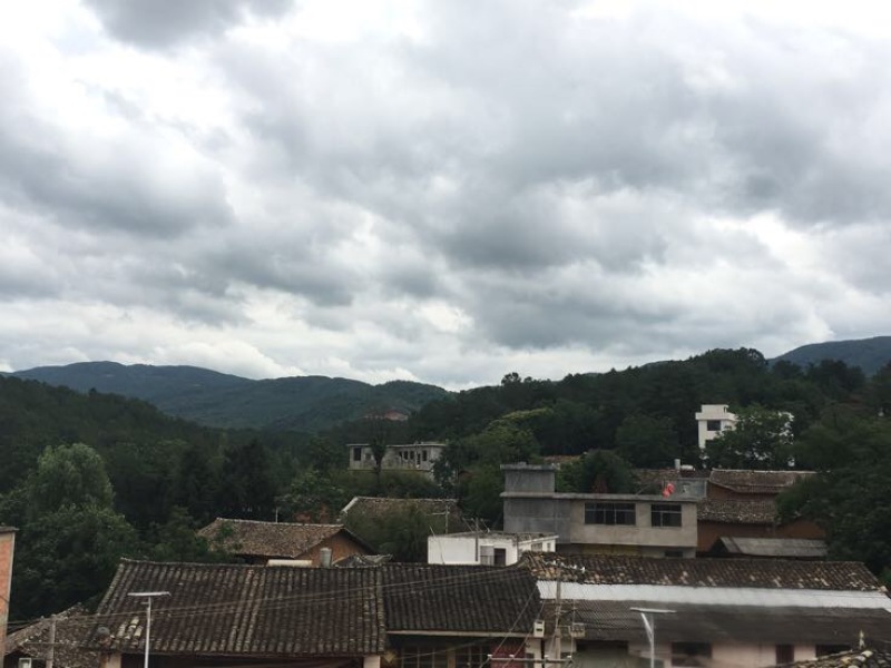 苦荞麦旱地