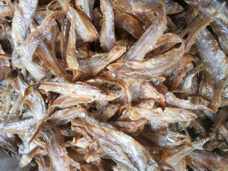 饲料鱼干，动物饲料，淡水湖饲料鱼干