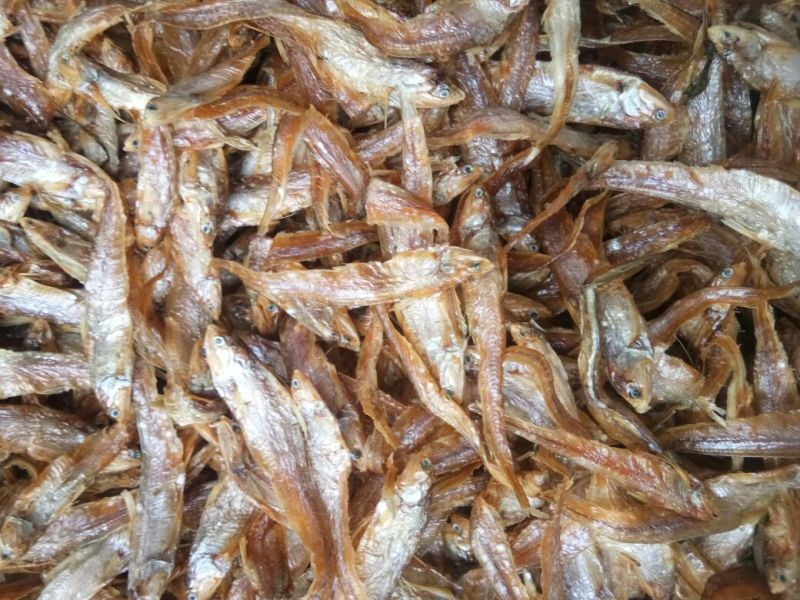 饲料鱼干，动物饲料，淡水湖饲料鱼干