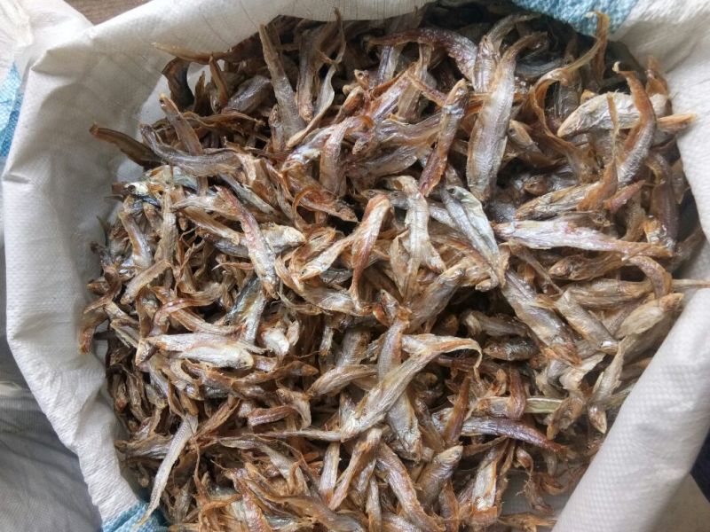 饲料鱼干，动物饲料，淡水湖饲料鱼干