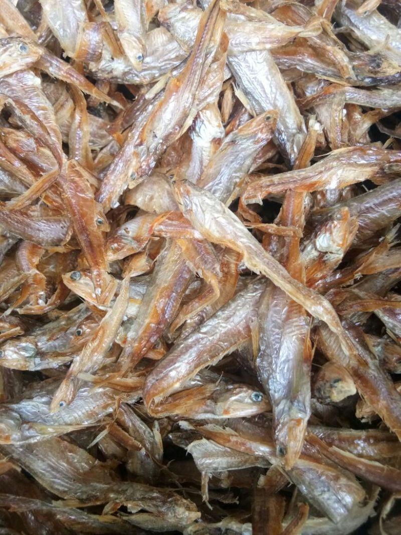 饲料鱼干，动物饲料，淡水湖饲料鱼干