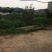 草鱼货真价实，可送货到家，保证质量