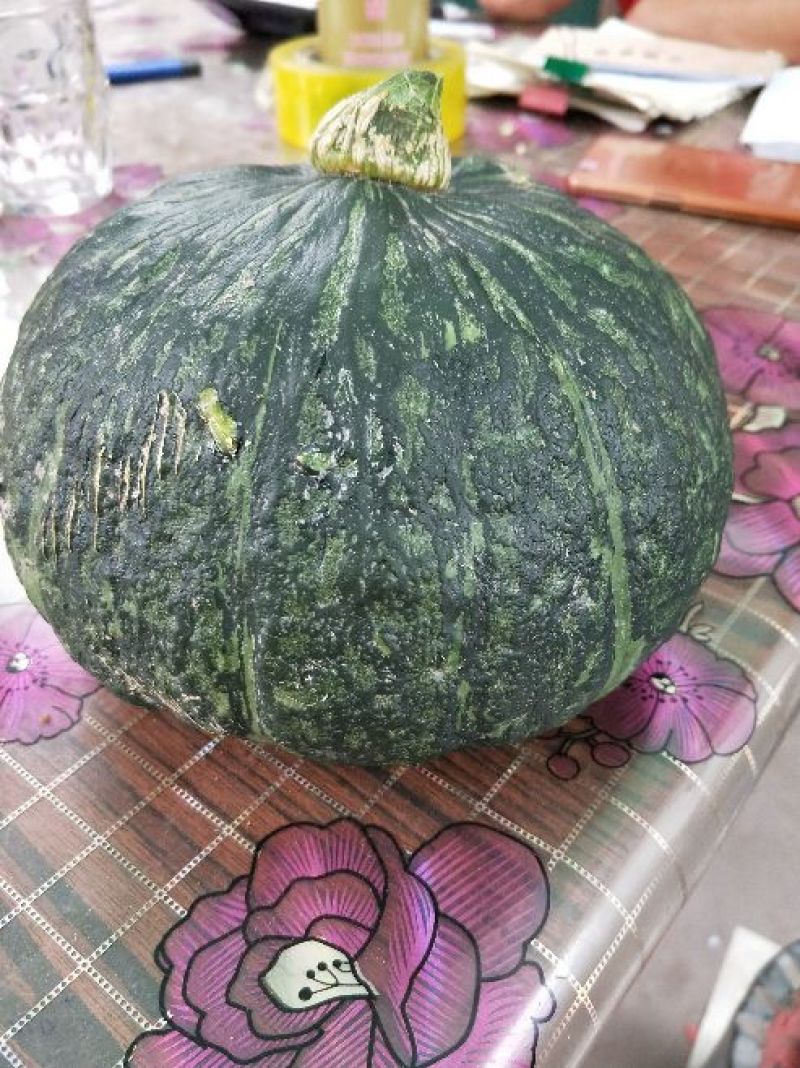 水果板栗南瓜香甜软糯板栗南瓜