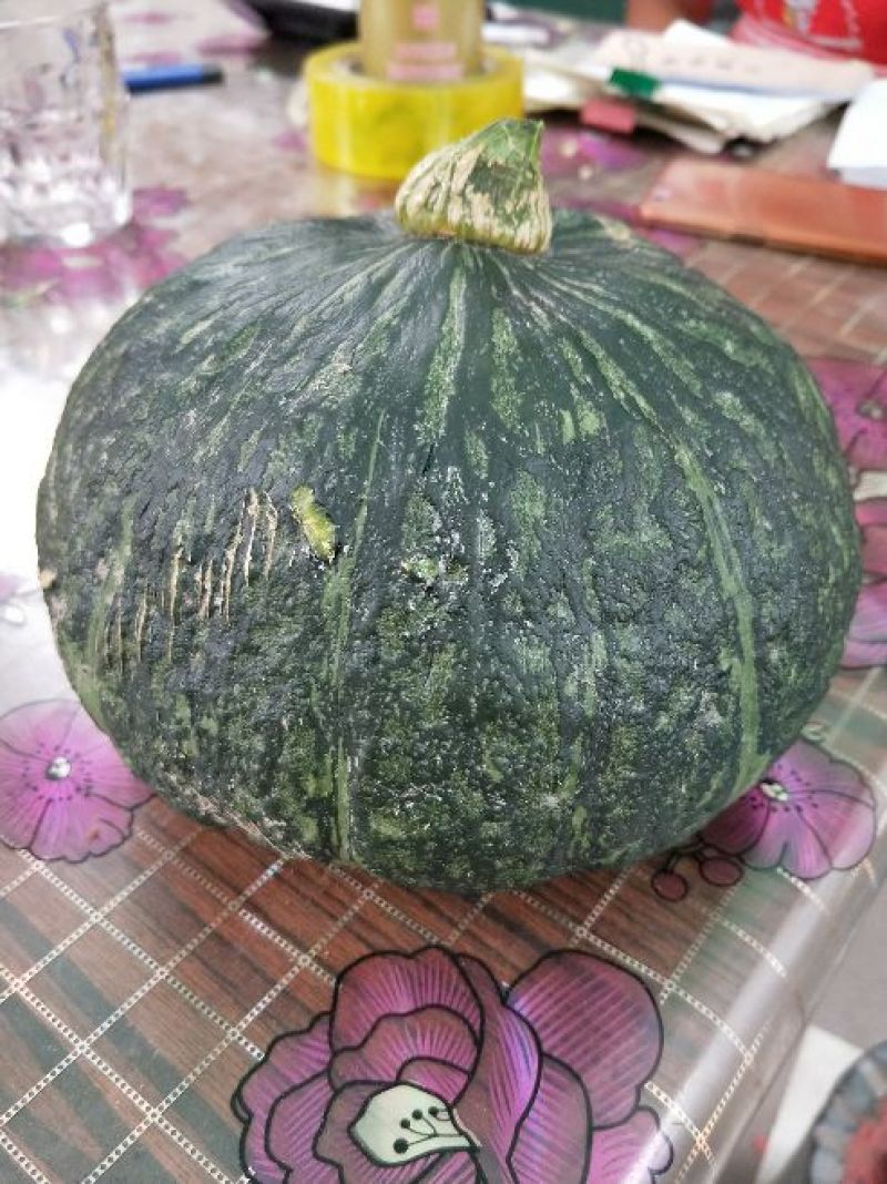 水果板栗南瓜香甜软糯板栗南瓜