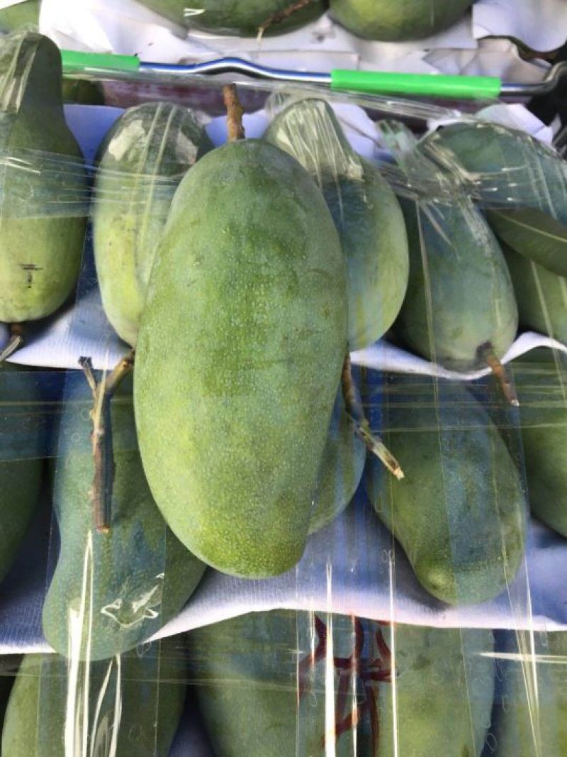 攀枝花金皇