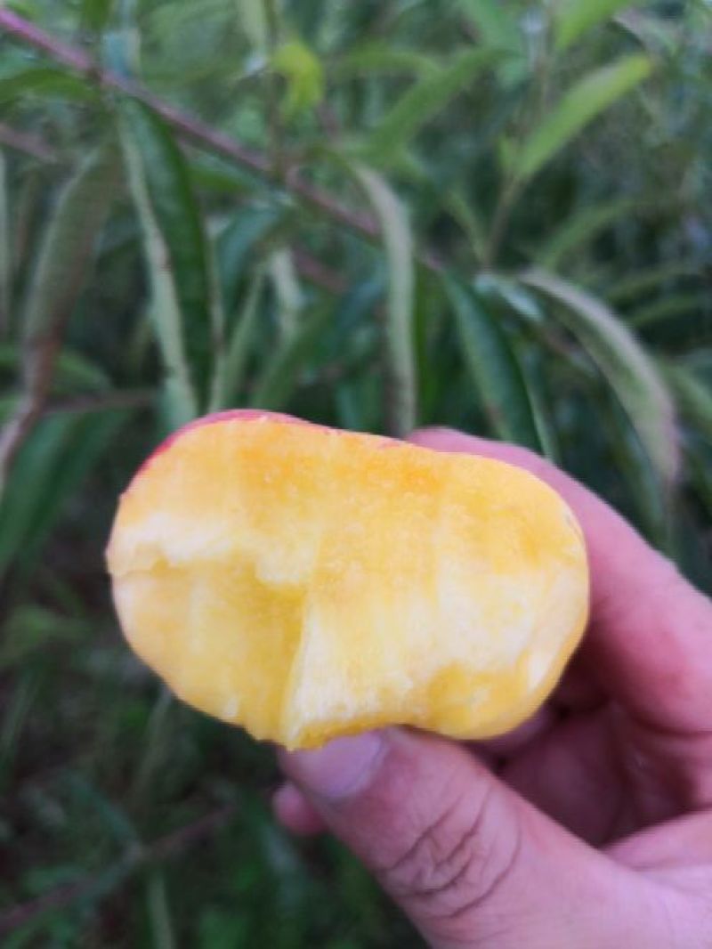 滇东明珠