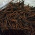 野蚕豆根，小红根，野三蚕豆根
