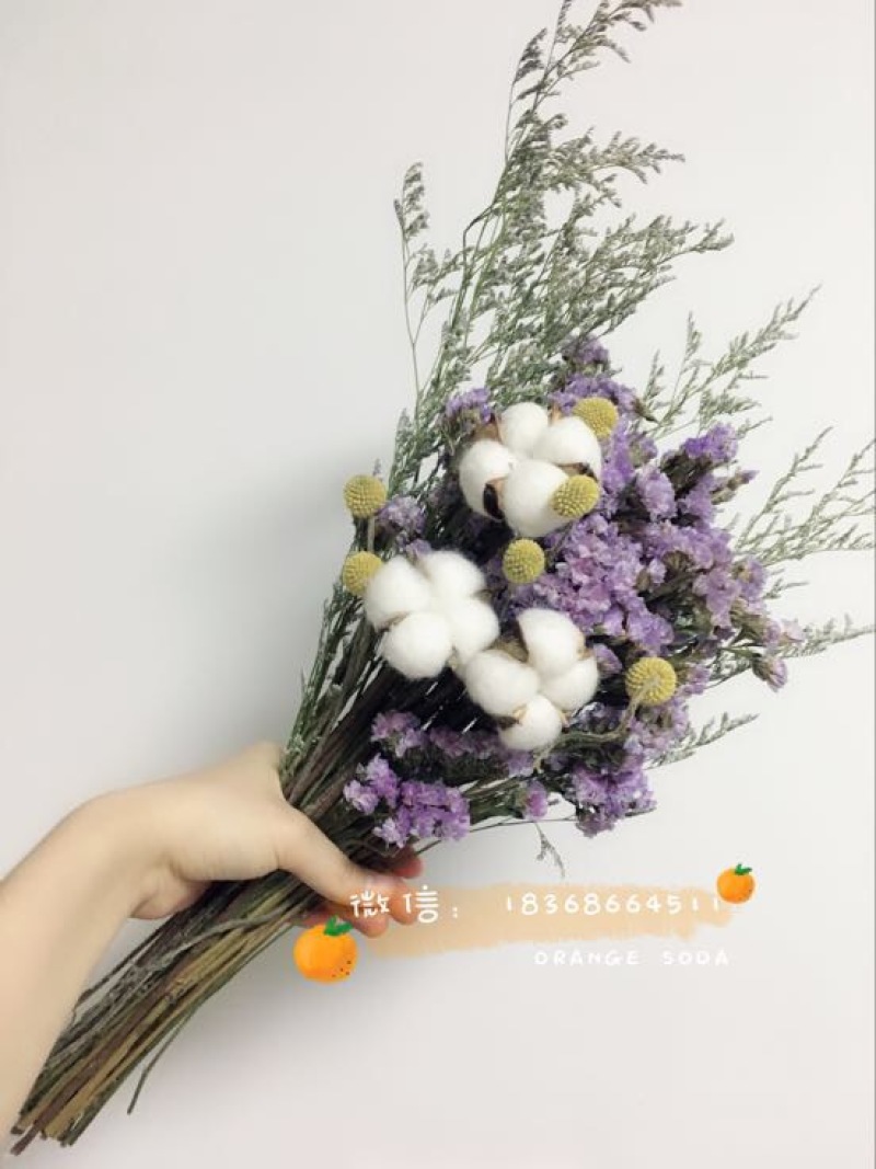 勿忘我干花混搭，勿忘我，水晶花，玫瑰，情人草等