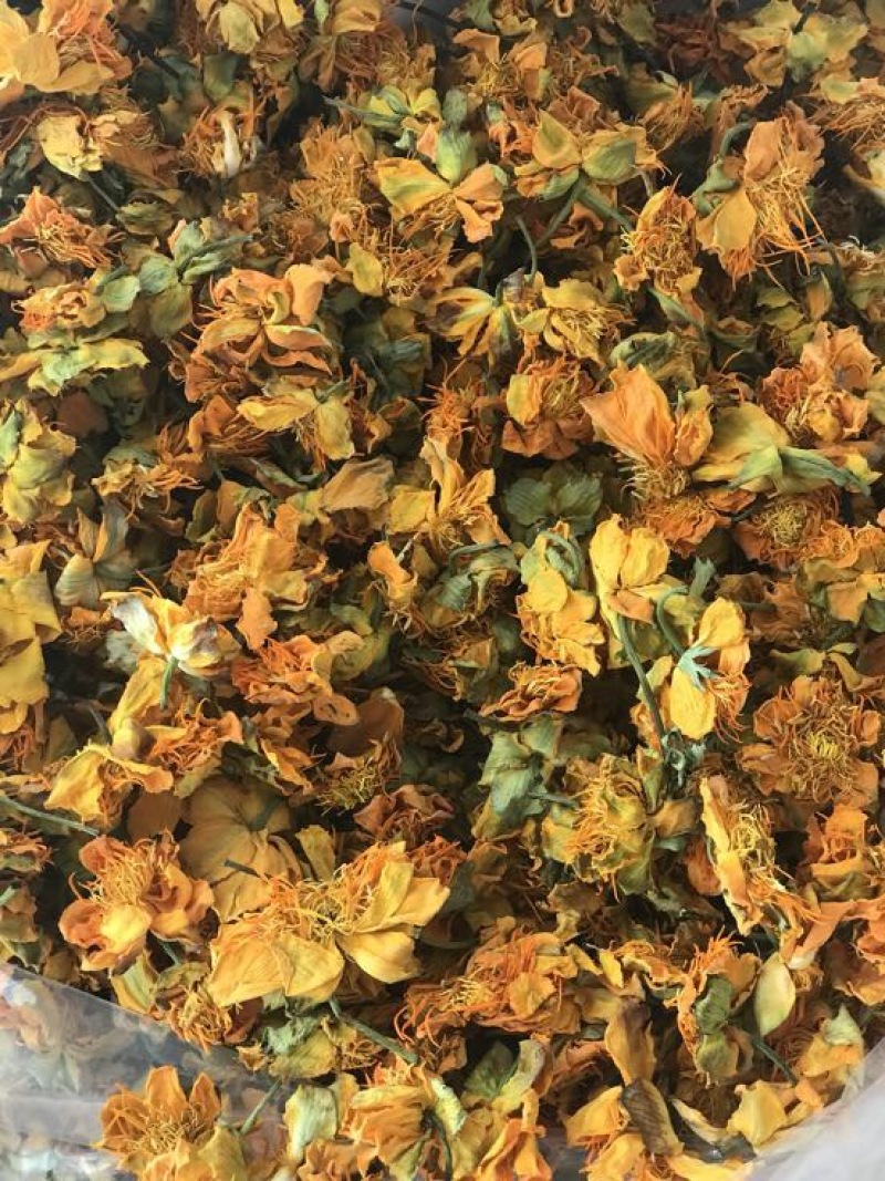 金银花叶