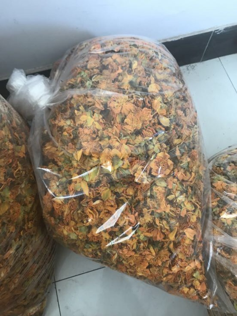 金银花叶