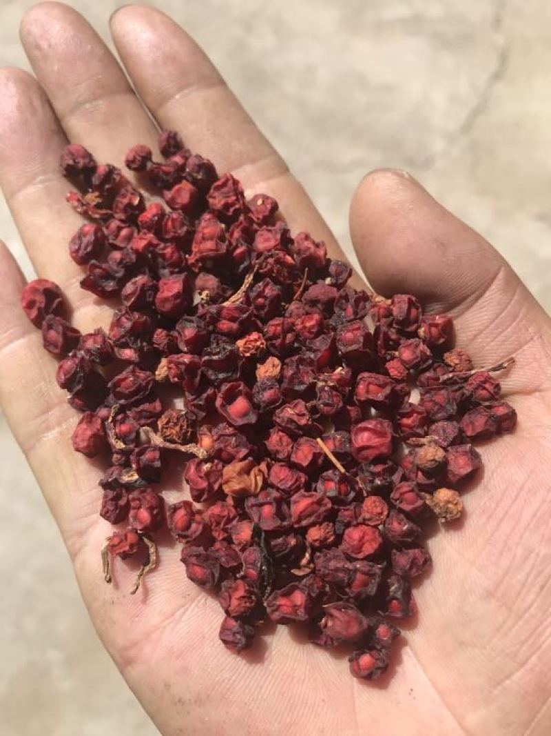 北五味子统货