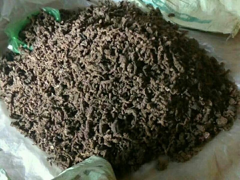 产自怒江州的滇重楼，自然晒干，