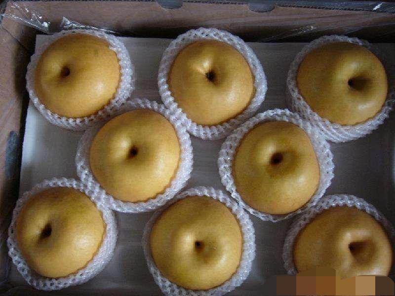 优质纸袋丰水梨/承接各种订单，批发一件代发社区团购丰水梨