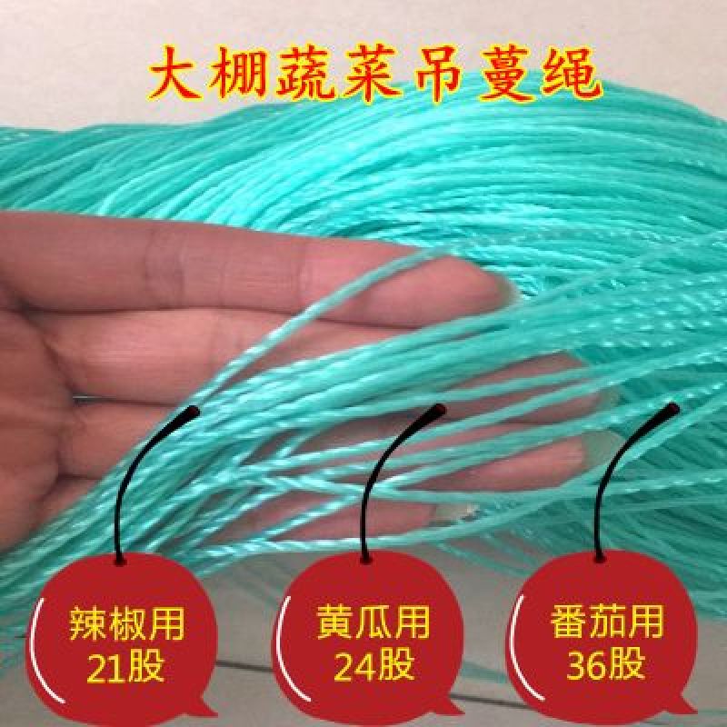 大棚蔬菜吊蔓绳吊秧绳塑料绳西红柿吊绳辣椒黄瓜吊绳厂家直销