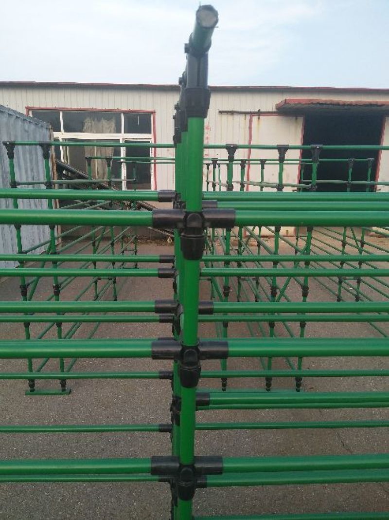 温室大棚大棚包塑管蘑菇大棚养殖大棚