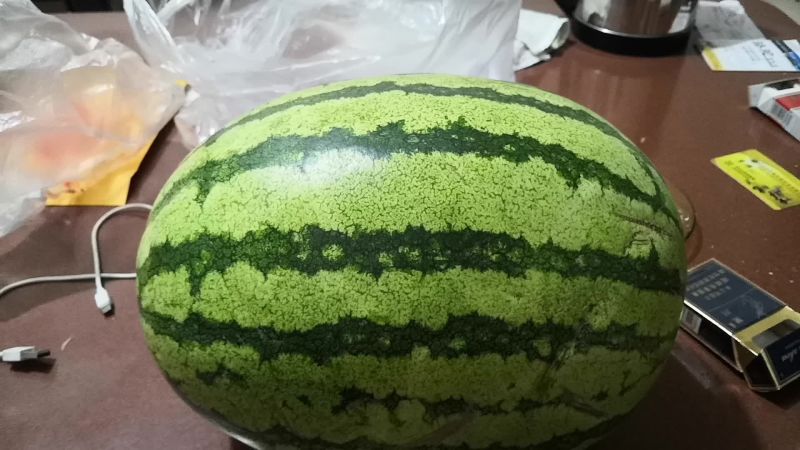 甘肃靖远硒砂瓜