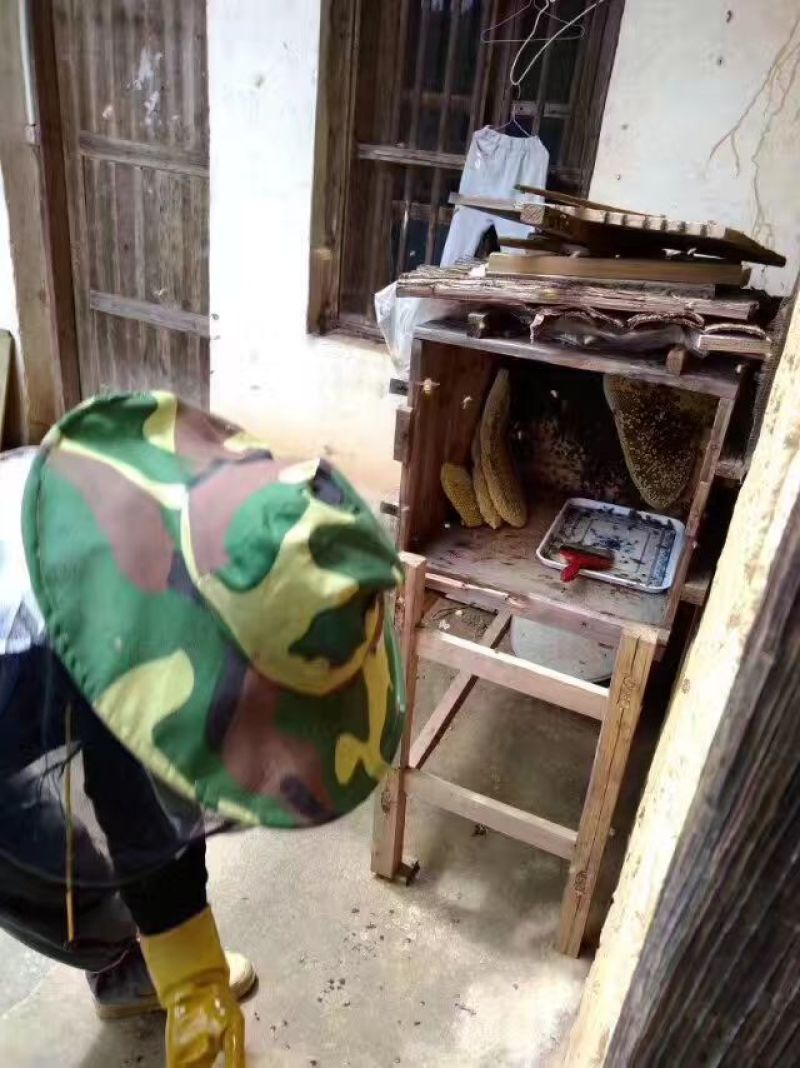 土蜂蜜