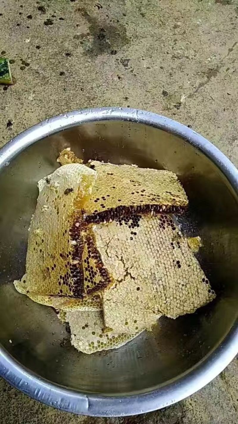 土蜂蜜
