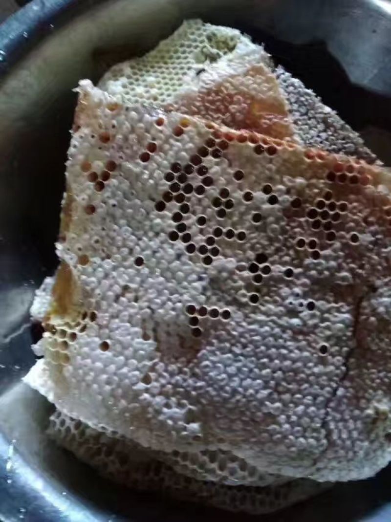 土蜂蜜