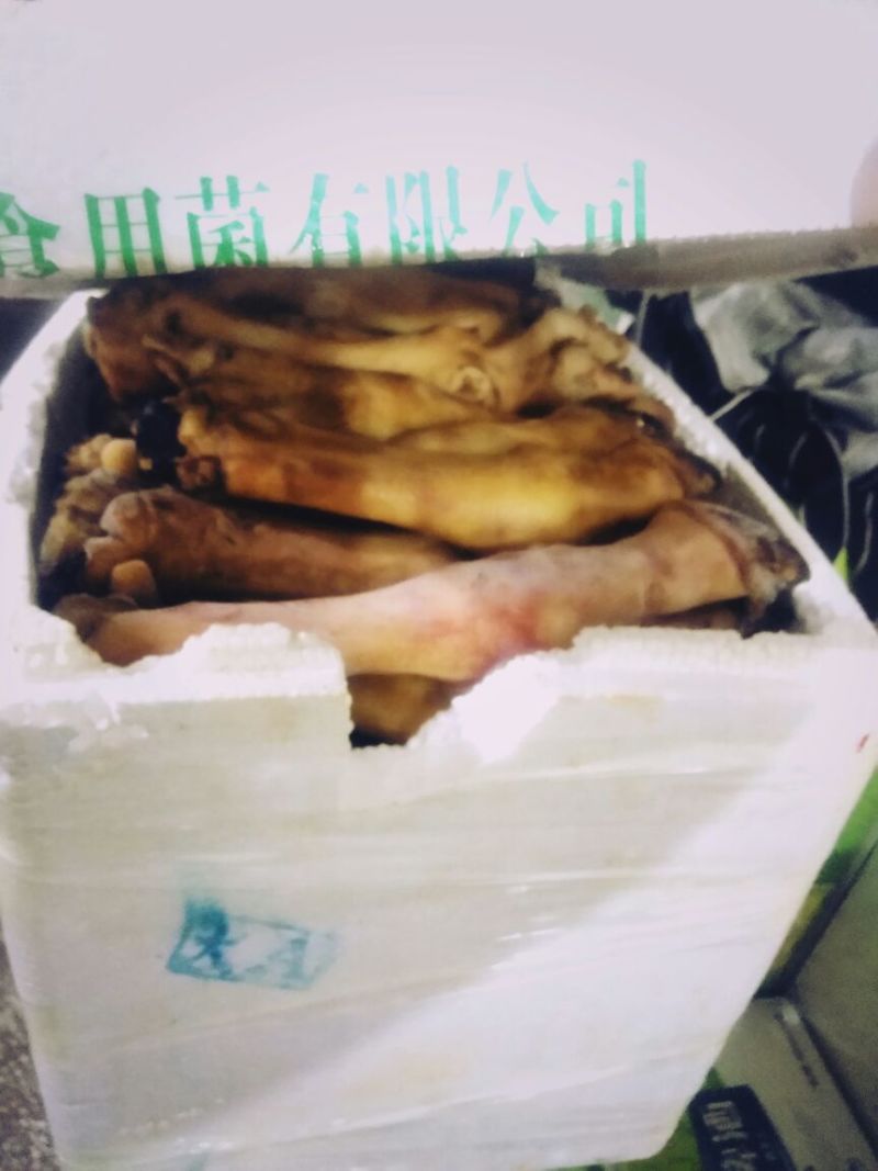 火烧羊蹄