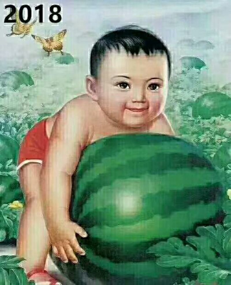 忻州西瓜