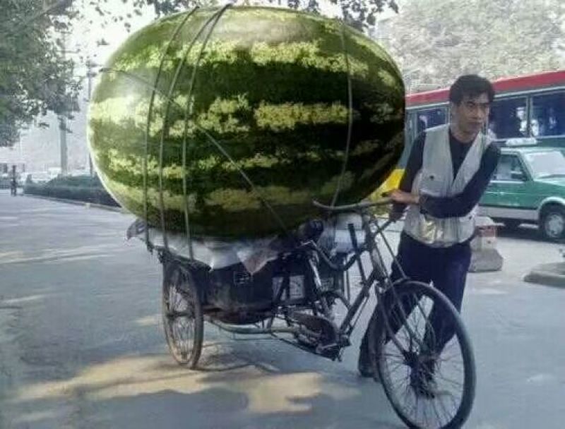 忻州西瓜
